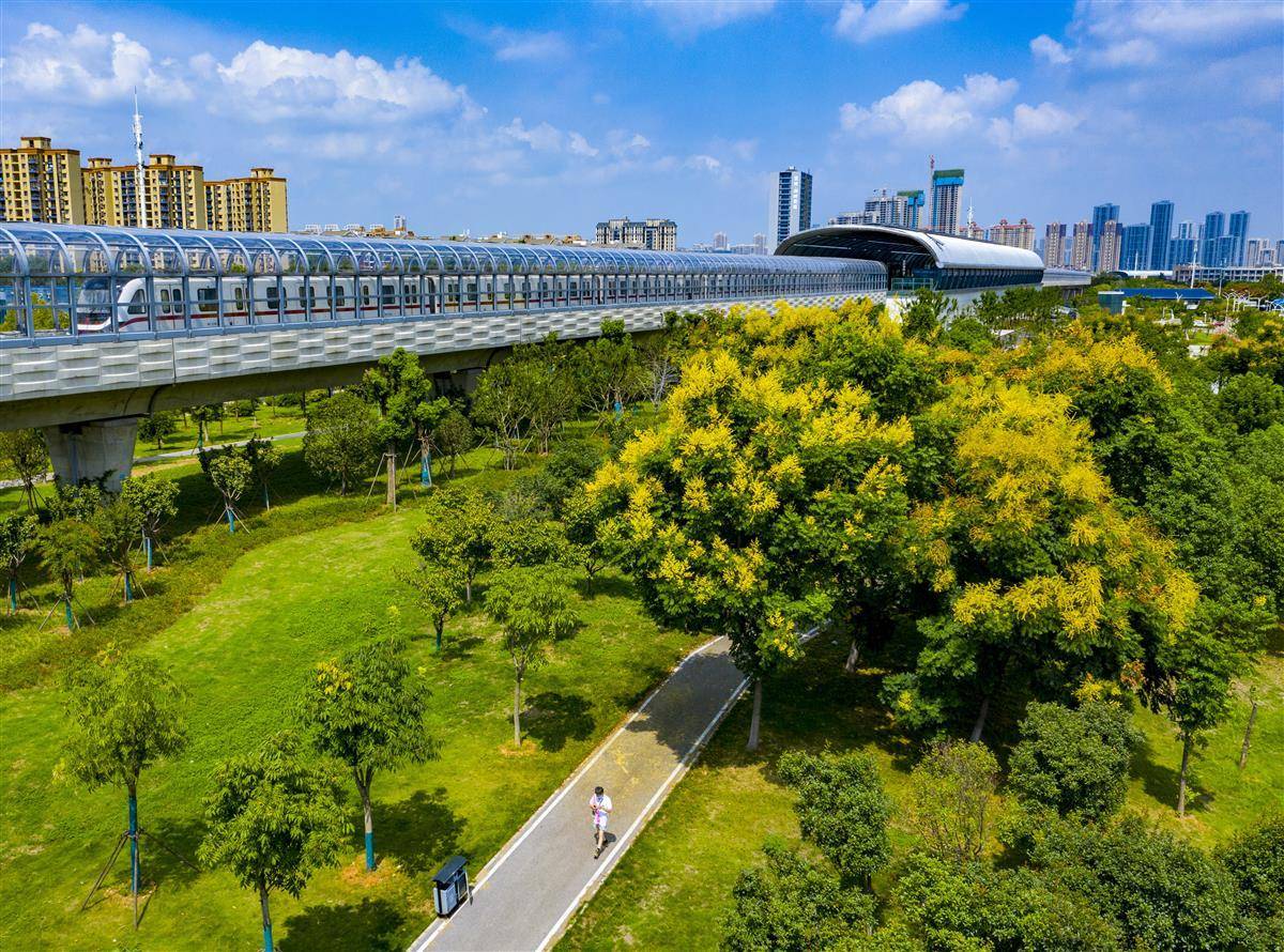 大发集团官网